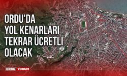 Ordu'da Bazı Cadde ve Sokaklarda Park Etmek Artık Ücretli Olacak