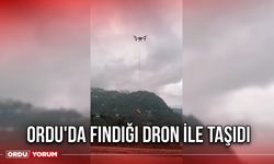 Ordu'da fındığı drone ile taşıdı