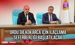 Ordu’da Kokarca İçin İlaçlama Seferberliği Başlatılacak