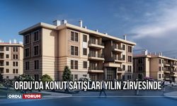 Ordu'da konut satışları yılın zirvesinde