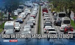 Ordu'da otomotiv satışları yüzde 12 düştü