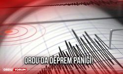 Ordu'da Deprem Paniği!