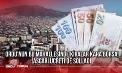 Ordu'nun bu mahallesinde kiralar kara borsa! Asgari ücreti de solladı