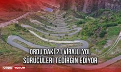 Ordu'daki 21 Virajlı Yol Sürücüleri Tedirgin Ediyor