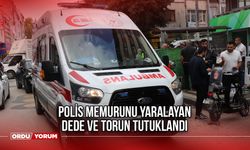 Polis memurunu yaralayan dede ve torun tutuklandı