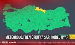 Meteoroloji’den Ordu’ya Sarı Kodlu Uyarı