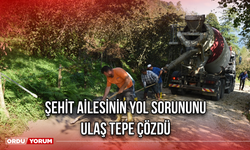 Şehit Ailesinin Yol Sorununu Ulaş Tepe Çözdü