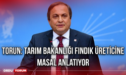 Torun: Tarım Bakanlığı Fındık Üreticine Masal Anlatıyor