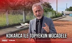 Kokarca İle Topyekun Mücadele