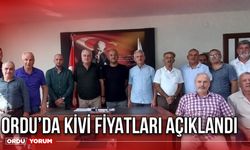 ORDU'DA KİVİ FİYATLARI AÇIKLANDI