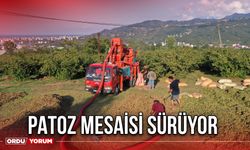 Patoz mesaisi sürüyor