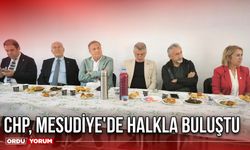 CHP, Mesudiye'de Halkla Buluştu