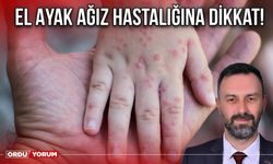 El Ayak Ağız Hastalığına Dikkat!