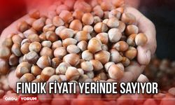 Fındık Fiyatı Yerinde Sayıyor