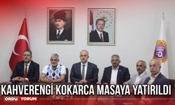 Kahverengi kokarca masaya yatırıldı