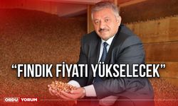 “Fındık fiyatı yükselecek”