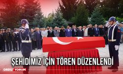 ŞEHİDİMİZ İÇİN TÖREN DÜZENLENDİ