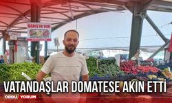 Vatandaşlar Domatese Akın Etti