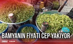 Bamyanın Fiyatı Cep Yakıyor