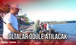 Oltalar Ödüle Atılacak