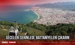 Geceleri Serinledi, Battaniyeleri Çıkarın