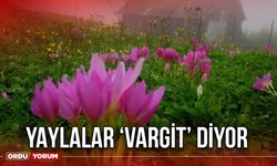 Yaylalar ‘Vargit’ Diyor