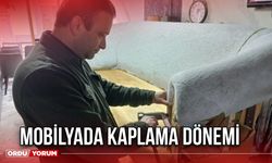 Mobilyada Kaplama Dönemi