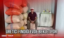 Üretici Fındığı Evde Bekletiyor