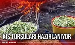 Kış turşuları hazırlanıyor