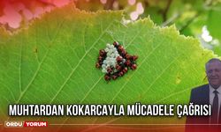 Muhtardan Kokarcayla Mücadele Çağrısı