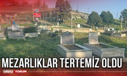 Mezarlıklar Tertemiz Oldu