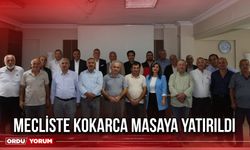 Mecliste Kokarca Masaya Yatırıldı