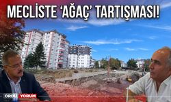 Mecliste ‘Ağaç’ Tartışması!