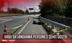 Ordu'da Jandarma Personeli Şehit Düştü