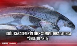 Doğu Karadeniz'in Türk Somonu İhracatında Yüzde 10 Artış