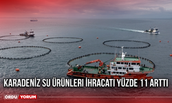 Karadeniz Su Ürünleri İhracatı yüzde 11 Arttı