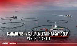 Karadeniz’in Su Ürünleri İhracat Geliri Yüzde 11 Arttı