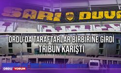 Ordu'da Taraftarlar Birbirine Girdi, Tribün Karıştı