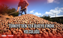 Türkiye'den 124 Ülkeye Fındık Yolculuğu