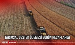 Tarımsal Destek Ödemesi Bugün Hesaplarda