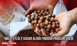 TMO 7 Eylül’e Kadar Aldığı Fındığın Parasını Ödedi