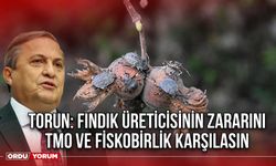 Torun: Fındık Üreticisinin Zararını TMO ve FİSKOBİRLİK Karşılasın