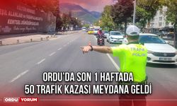 Ordu’da Son 1 Haftada 50 Trafik Kazası Meydana Geldi