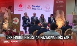 Türk Fındığı Hindistan Pazarına Giriş Yaptı