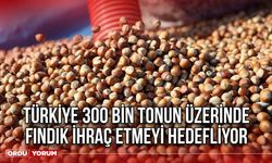 Türkiye 300 bin tonun üzerinde fındık ihraç etmeyi hedefliyor