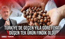 Türkiye’de Geçen Yıla Göre Fiyatı Düşen Tek Ürün Fındık Oldu