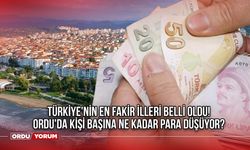 Türkiye'nin en fakir illeri belli oldu! Ordu kaçıncı sırada? Ordu'da kişi başına ne kadar para düşüyor?