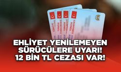 Ehliyet Yenilemeyen Sürücülere Son Uyarı: 31 Aralık'ta Son Gün!