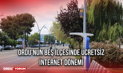 Ordu'nun Beş İlçesinde Ücretsiz İnternet Dönemi