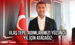 Ulaş Tepe: Adımlarımızı yüzüncü yıl için atacağız